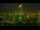 Webcam in Riga, 7.3 mi away