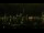 Webcam in Riga, 1.1 km entfernt
