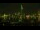 Webcam in Riga, 0.5 mi away