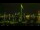 Webcam in Riga, 0.5 mi away