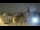 Webcam in Riga, 0.6 mi away