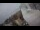 Webcam in Riga, 0.1 mi away