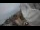 Webcam in Riga, 0.4 mi away