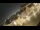Webcam in Riga, 0.1 mi away