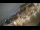 Webcam in Riga, 0.4 km