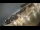 Webcam in Riga, 0.1 mi away