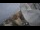 Webcam in Riga, 0.1 mi away