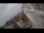 Webcam in Riga, 0.1 mi away