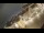 Webcam in Riga, 0.2 km
