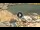Webcam in Marsalforn, 11.3 km