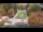 Webcam in Bad Reichenhall, 3.7 mi away