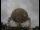 Webcam al Jodrell Bank Observatory, 58.1 km