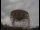 Webcam at the Jodrell Bank Observatory, 48.9 mi away