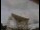 Webcam at the Jodrell Bank Observatory, 5.8 mi away