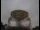 Webcam at the Jodrell Bank Observatory, 32.1 mi away