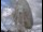 Webcam at the Jodrell Bank Observatory, 25.4 mi away