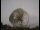 Webcam at the Jodrell Bank Observatory, 11 mi away