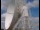 Webcam au Observatoire de Jodrell Bank, 80.4 km