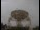 Webcam at the Jodrell Bank Observatory, 57 mi away