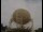 Webcam in Observatorio Jodrell Bank, 80.3 km