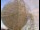 Webcam al Jodrell Bank Observatory, 50.3 km