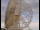 Webcam at the Jodrell Bank Observatory, 23.8 mi away