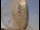 Webcam at the Jodrell Bank Observatory, 23.8 mi away