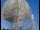 Webcam at the Jodrell Bank Observatory, 7.6 mi away