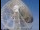 Webcam in Observatorio Jodrell Bank, 81.9 km