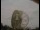 Webcam at the Jodrell Bank Observatory, 25.4 mi away