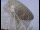 Webcam in Observatorio Jodrell Bank, 121.3 km