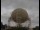 Webcam at the Jodrell Bank Observatory, 8.9 mi away