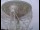 Webcam in Observatorio Jodrell Bank, 94 km