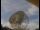 Webcam at the Jodrell Bank Observatory, 31.6 mi away
