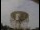 Webcam am Jodrell Bank Observatory, 126.4 km entfernt