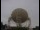Webcam at the Jodrell Bank Observatory, 10.8 mi away