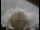 Webcam at the Jodrell Bank Observatory, 57 mi away