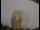 Webcam at the Jodrell Bank Observatory, 25.4 mi away