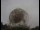 Webcam au Observatoire de Jodrell Bank, 126.8 km