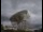 Webcam at the Jodrell Bank Observatory, 25.4 mi away
