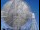 Webcam am Jodrell Bank Observatory, 80.3 km entfernt