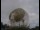 Webcam au Observatoire de Jodrell Bank, 61.7 km