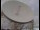 Webcam in Observatorio Jodrell Bank, 147.6 km