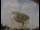 Webcam at the Jodrell Bank Observatory, 25.4 mi away