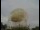 Webcam at the Jodrell Bank Observatory, 31.6 mi away