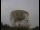 Webcam at the Jodrell Bank Observatory, 25 mi away