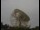 Webcam at the Jodrell Bank Observatory, 3.5 mi away