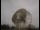 Webcam at the Jodrell Bank Observatory, 18.9 mi away