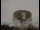 Webcam am Jodrell Bank Observatory, 49 km entfernt