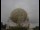Webcam at the Jodrell Bank Observatory, 31.6 mi away
